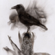Illustration for article titled Painting with fire creates some really beautiful art